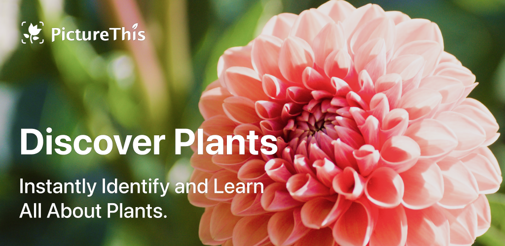 PictureThis - Plant Identifier