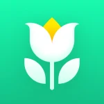 Plant Parent: Plant Care Guide